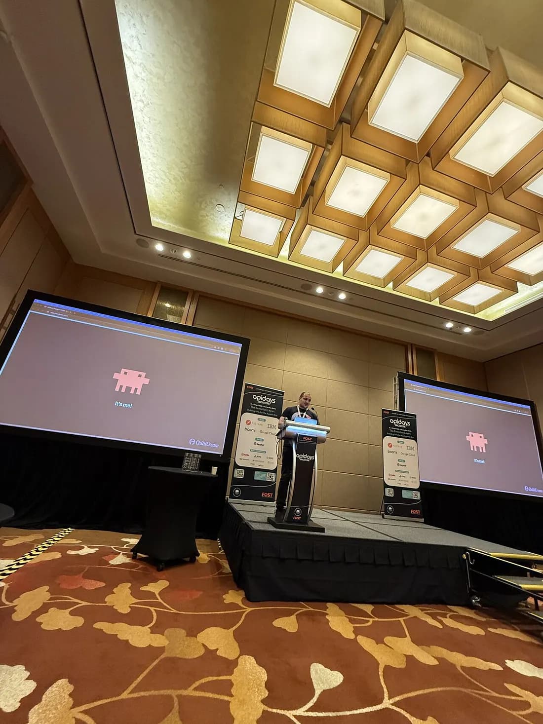 Michael Staib presenting at API Days